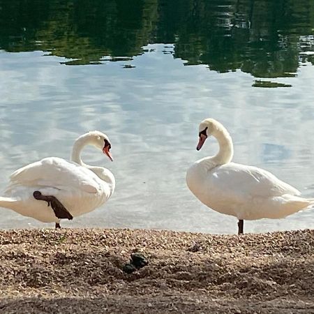 Apartman Put Svete Kate Raslina Bagian luar foto